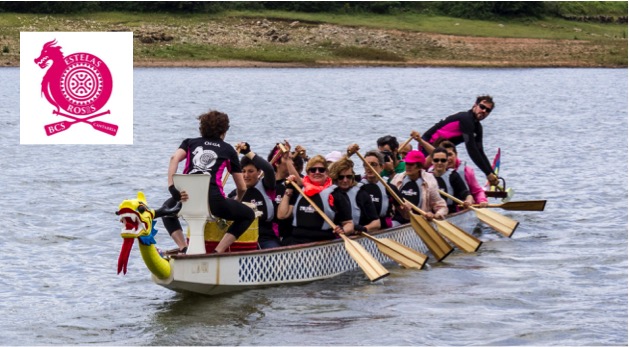 ESTELAS ROSAS CON LOGO