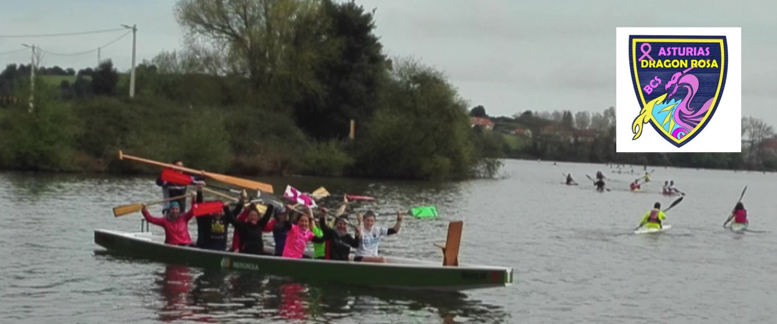 ASTURIAS DRAGON ROSA